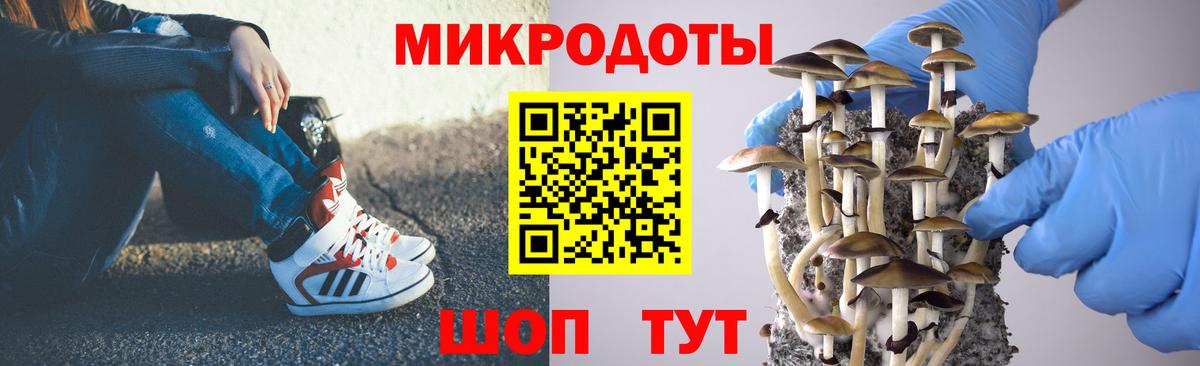 Псилоцибиновые грибы мицелий  Вход с VPN  Чернушка 
